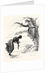 Two Methods of Speeling a Wire-Fence by Anonymous