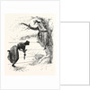 Two Methods of Speeling a Wire-Fence by Anonymous