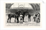 The Shire Horse Show at the Agricultural Hall: The Final Duel by Anonymous