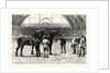 The Shire Horse Show at the Agricultural Hall: The Final Duel by Anonymous