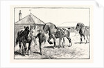 A Parade in Front of the Pavilion in Mr. Gilbey's Paddocks at Elsenham by Anonymous