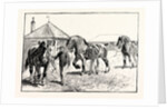 A Parade in Front of the Pavilion in Mr. Gilbey's Paddocks at Elsenham by Anonymous