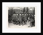 On the Way to Her Majesty's Drawing Room: The Yeomen of the Guard Marching Down the Mall UK by Anonymous