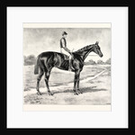 Lord Alington's Common Winner of the Two Thousand Guineas and Favourite for the Derby by Anonymous