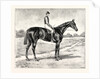 Lord Alington's Common Winner of the Two Thousand Guineas and Favourite for the Derby by Anonymous
