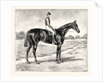 Lord Alington's Common Winner of the Two Thousand Guineas and Favourite for the Derby by Anonymous