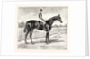 Lord Alington's Common Winner of the Two Thousand Guineas and Favourite for the Derby by Anonymous