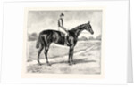 Lord Alington's Common Winner of the Two Thousand Guineas and Favourite for the Derby by Anonymous