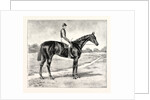 Lord Alington's Common Winner of the Two Thousand Guineas and Favourite for the Derby by Anonymous