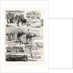 An Exploring Party in Australia by Anonymous