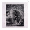 Bruin As Messenger by Anonymous