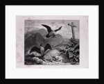 Reynard and Merknau by Anonymous