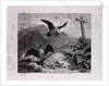 Reynard and Merknau by Anonymous
