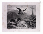 Reynard and Merknau by Anonymous