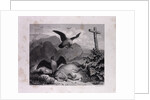 Reynard and Merknau by Anonymous