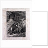 Grimbart's Summons by Anonymous