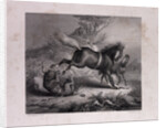 The Mare and the Wolf by Anonymous