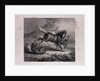 The Mare and the Wolf by Anonymous