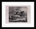 The Mare and the Wolf by Anonymous