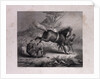The Mare and the Wolf by Anonymous