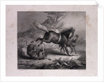 The Mare and the Wolf by Anonymous
