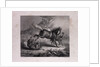 The Mare and the Wolf by Anonymous