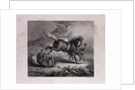 The Mare and the Wolf by Anonymous