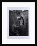 Gieremund in the Well by Anonymous