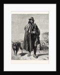 Shepherd of the Campagna by Anonymous