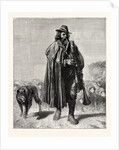 Shepherd of the Campagna by Anonymous