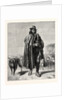 Shepherd of the Campagna by Anonymous