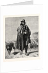 Shepherd of the Campagna by Anonymous