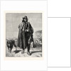 Shepherd of the Campagna by Anonymous