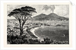 Naples by Anonymous