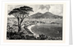 Naples by Anonymous