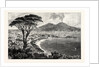 Naples by Anonymous