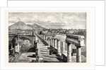 The Forum Pompeii by Anonymous