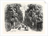 Avenue in Boboli Gardens by Anonymous