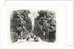 Avenue in Boboli Gardens by Anonymous