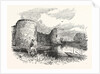 Pevensey Castle by Anonymous