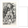 Armed Warriors of the Fourteenth Century. by Anonymous