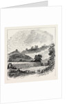 Field of the Battle of Shrewsbury. by Anonymous