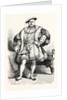 King Henry VIII. by Anonymous