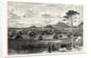Edinburgh from Rest and Be Thankful Corstorphine Hill. by Anonymous