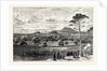 Edinburgh from Rest and Be Thankful Corstorphine Hill. by Anonymous