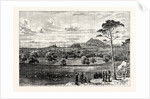 Edinburgh from Rest and Be Thankful Corstorphine Hill. by Anonymous