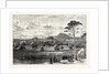 Edinburgh from Rest and Be Thankful Corstorphine Hill. by Anonymous