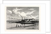 Joppa Pans by Anonymous