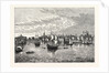 South-East View of London in 1550. by Anonymous