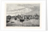 South-East View of London in 1550. by Anonymous